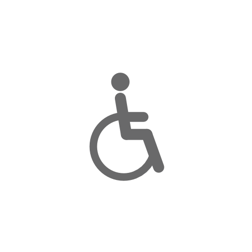 ingenious-group-disability