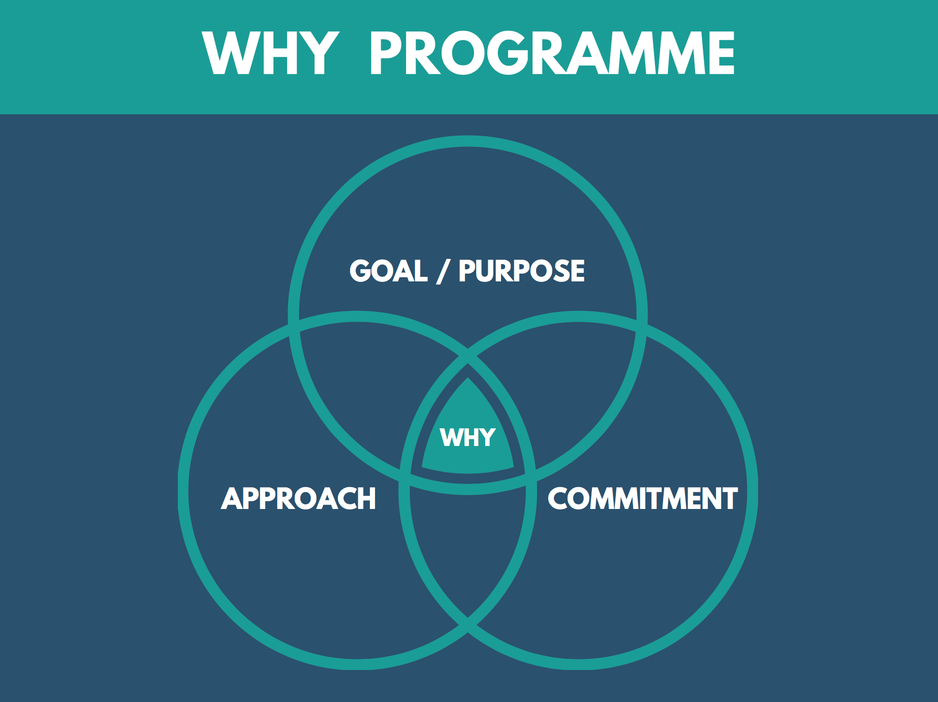 Venn WHY Social Purpose Framework IG